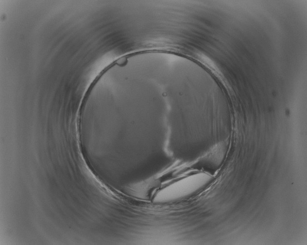 X0000065261291200603031819