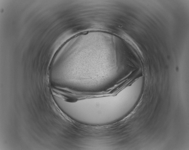 X0000065261292200603031819