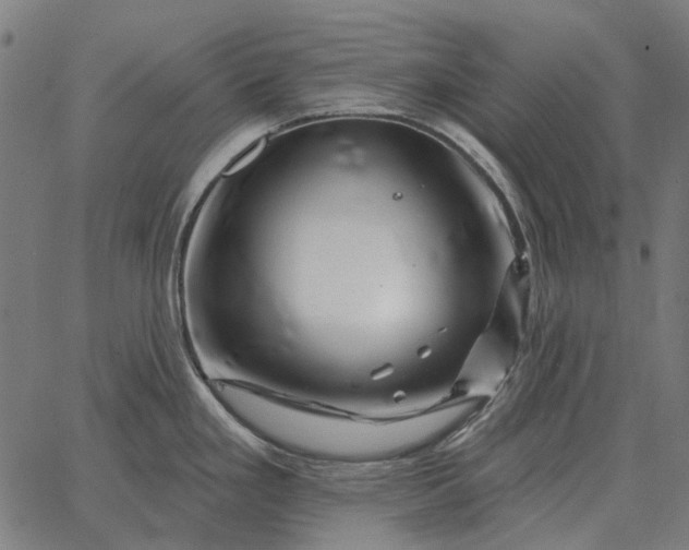 X0000065261293200603031819