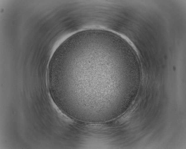 X0000065261295200603031819