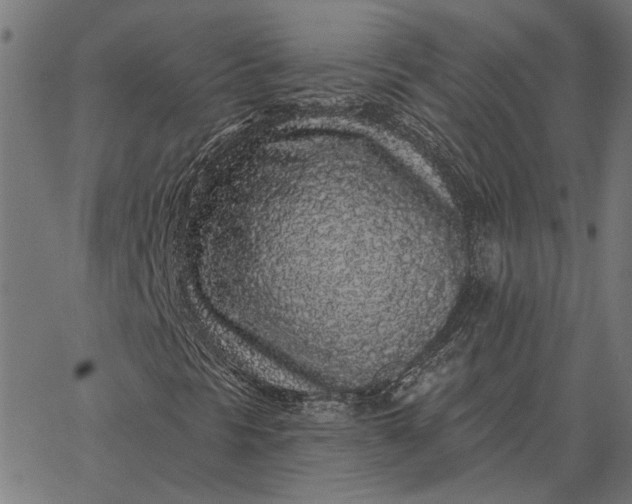 X0000065261297200603031818