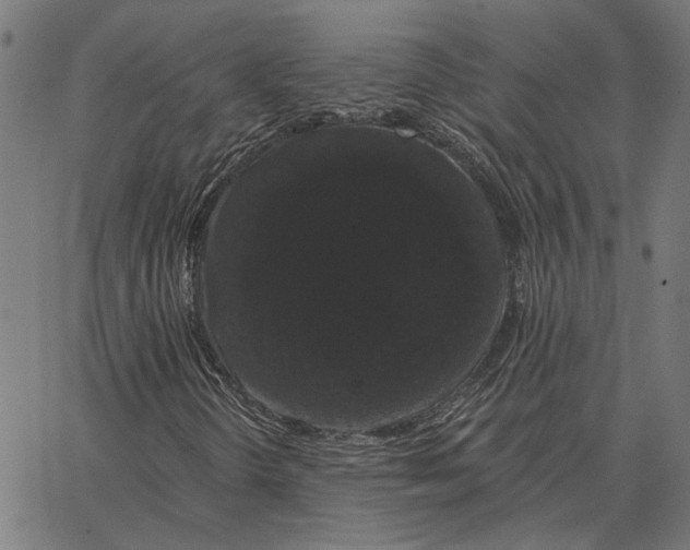 X0000065261298200603031818