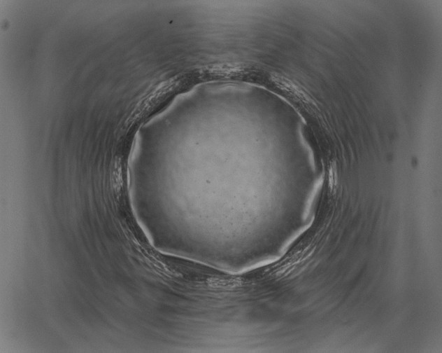 X0000065261299200603031818