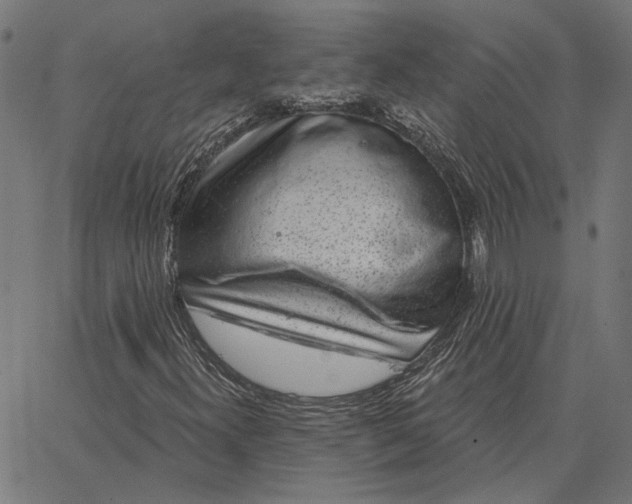 X0000065261300200603031818