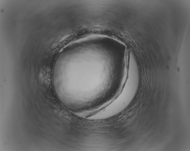 X0000065261301200603031818