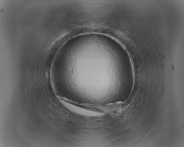 X0000065261302200603031818