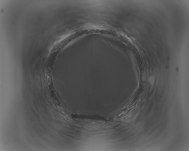 X0000065261303200603031818