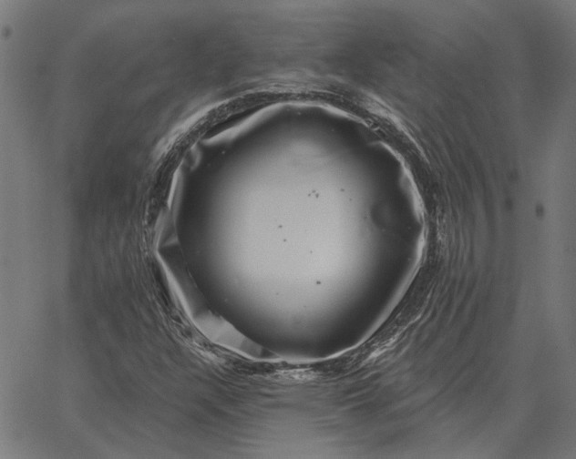 X0000065261304200603031818