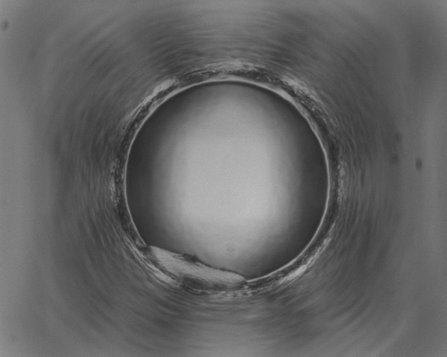 X0000065261305200603031818