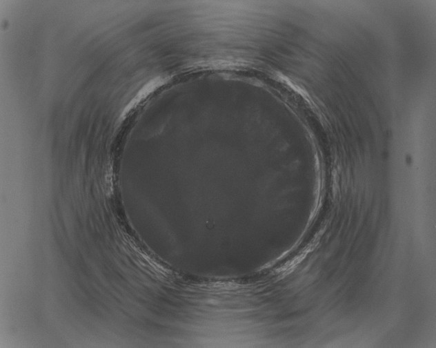 X0000065261306200603031818