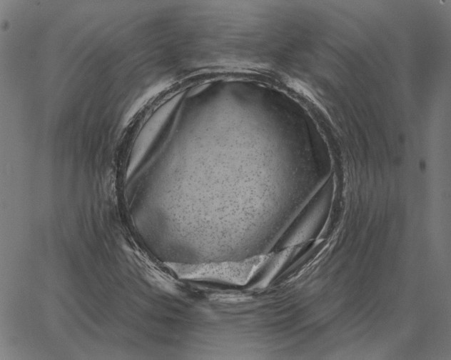 X0000065261307200603031818