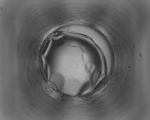 X0000065261308200603031818