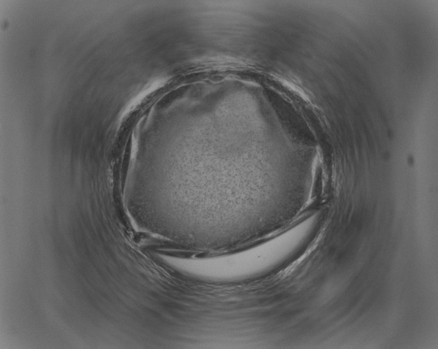 X0000065261309200603031818