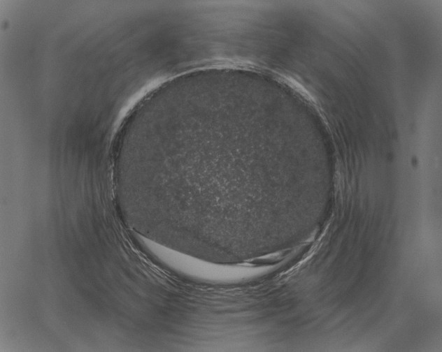 X0000065261310200603031818