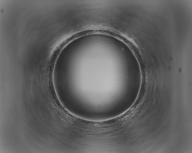 X0000065261311200603031818