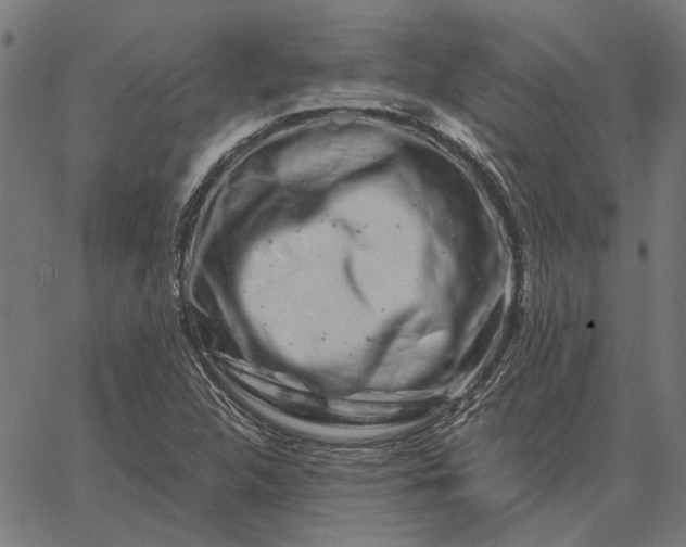 X0000065261312200603031818