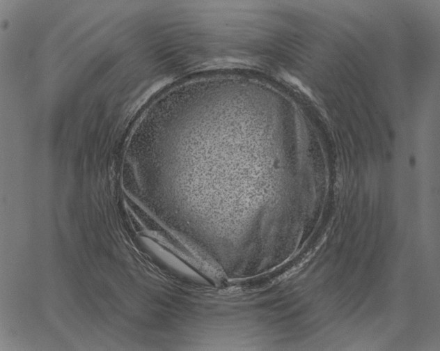 X0000065261313200603031818