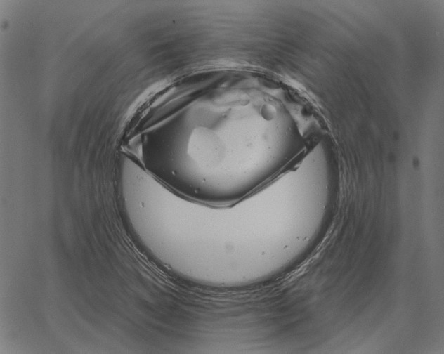 X0000065261314200603031818