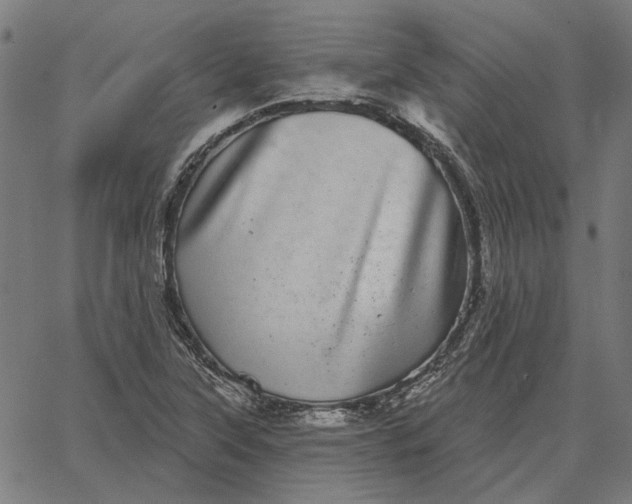 X0000065261315200603031818