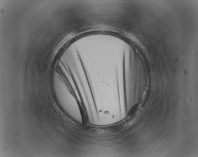 X0000065261318200603031819