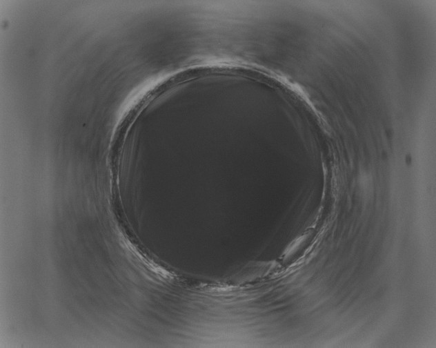 X0000065261319200603031819