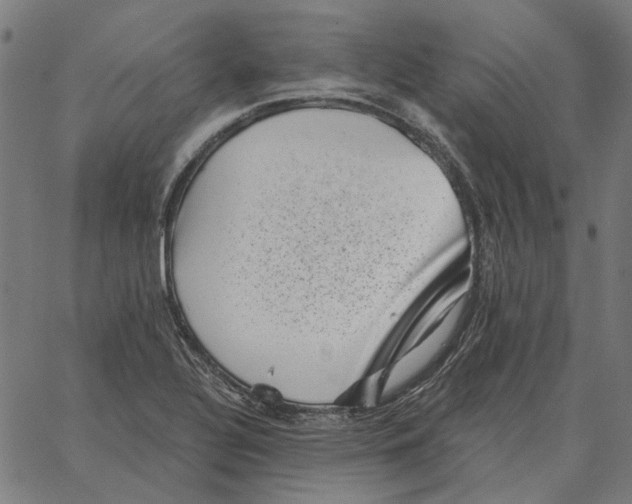 X0000065261320200603031819