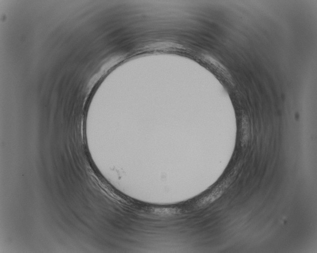 X0000065261322200603031819