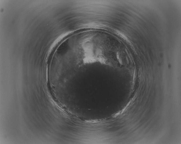 X0000065261323200603031819