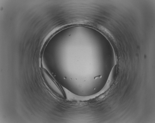 X0000065261324200603031819