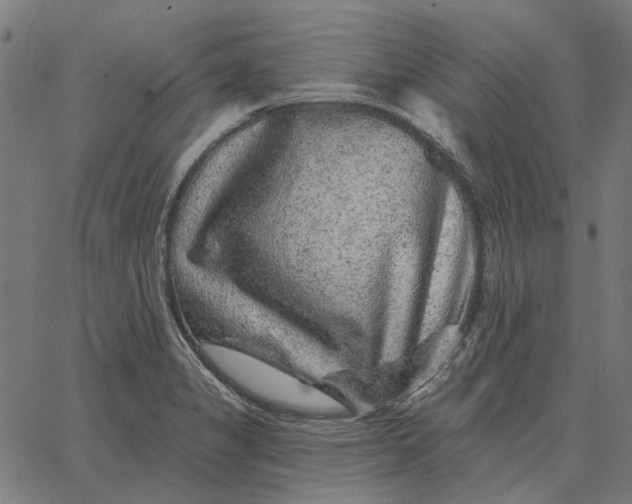 X0000065261325200603031819