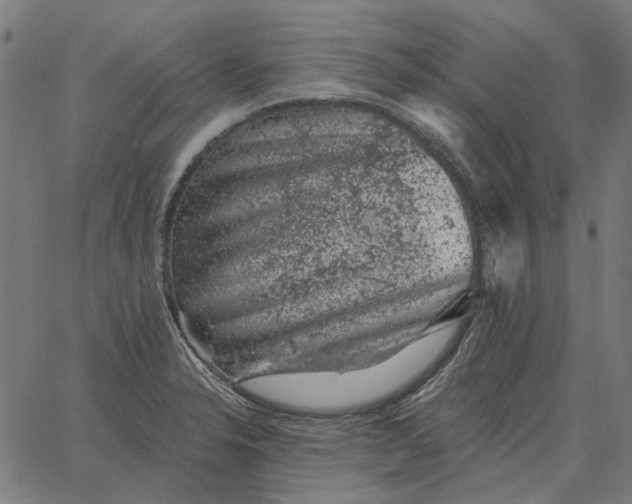 X0000065261326200603031819