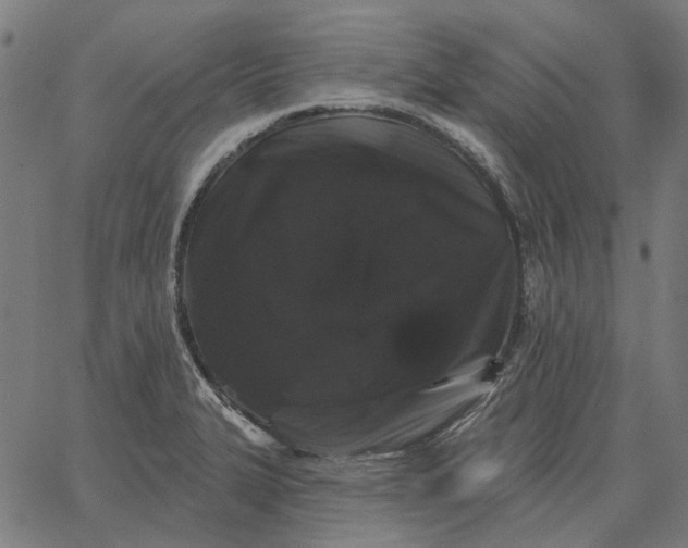 X0000065261327200603031819