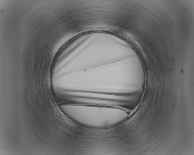 X0000065261328200603031819