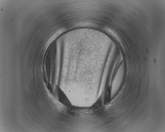 X0000065261330200603031819