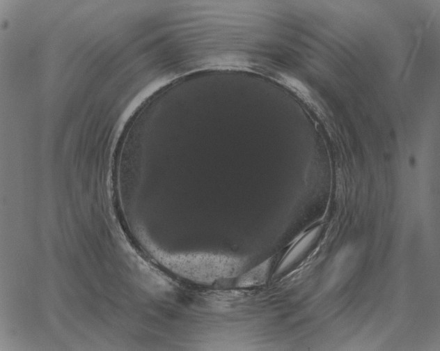 X0000065261331200603031819