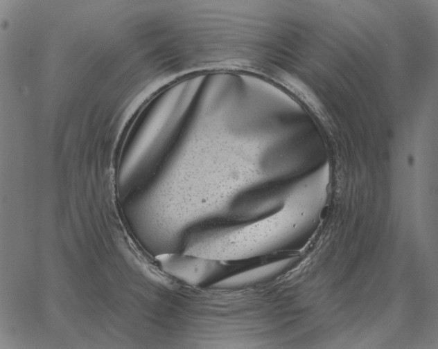 X0000065261332200603031819