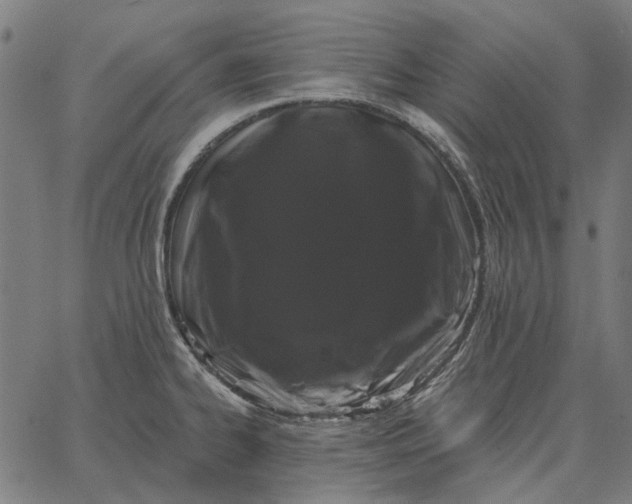 X0000065261334200603031819