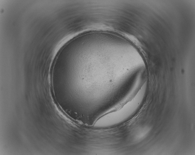 X0000065261335200603031819