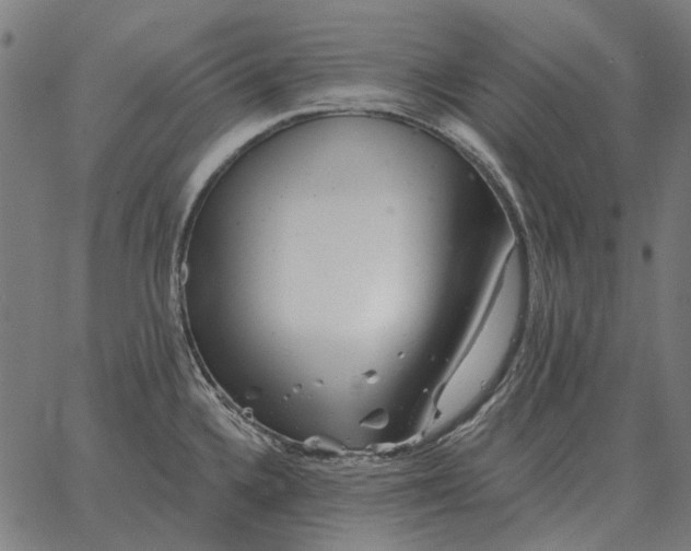 X0000065261336200603031819