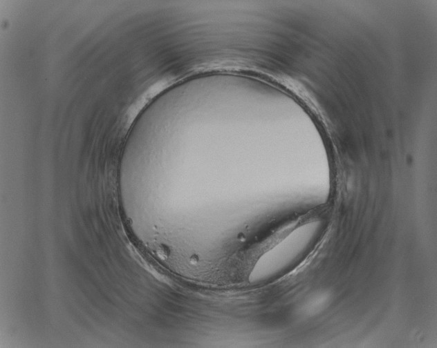 X0000065261337200603031819