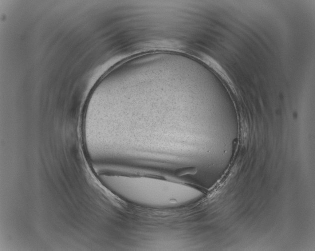 X0000065261339200603031819