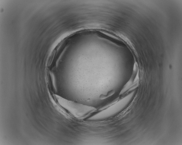 X0000065261342200603031819