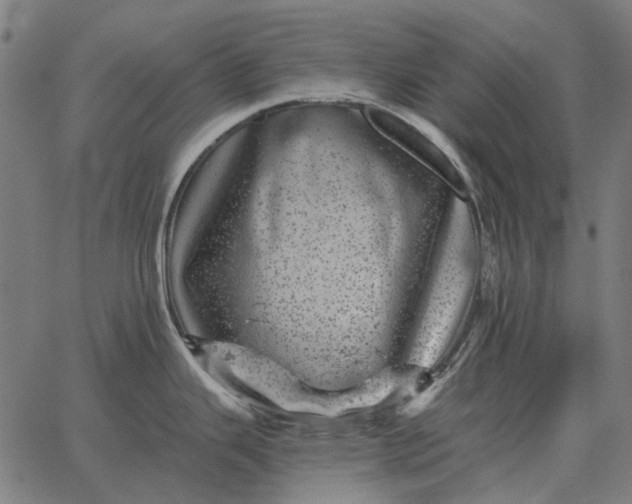 X0000065261343200603031819