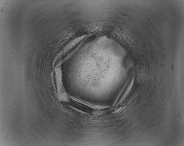 X0000065261345200603031818