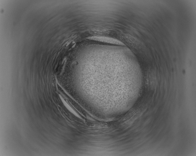 X0000065261346200603031818