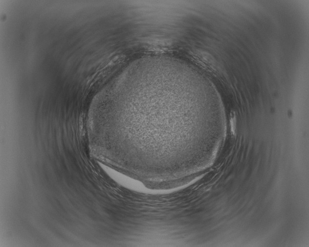 X0000065261347200603031818