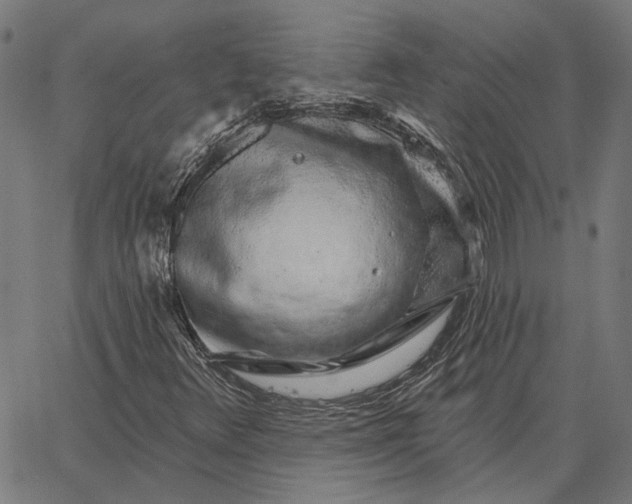 X0000065261348200603031818