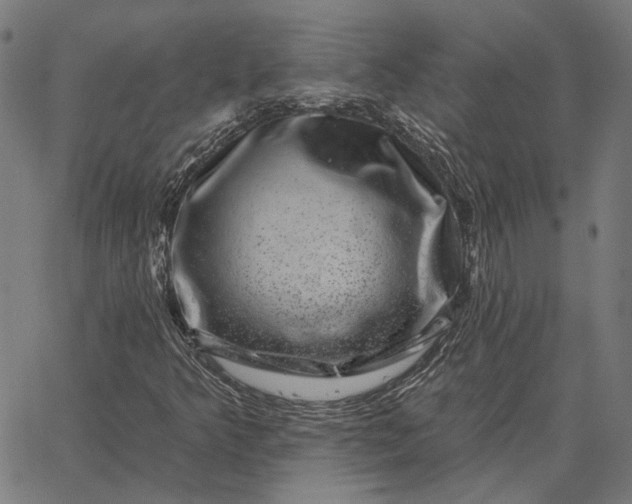 X0000065261349200603031818