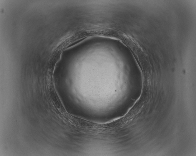 X0000065261350200603031818