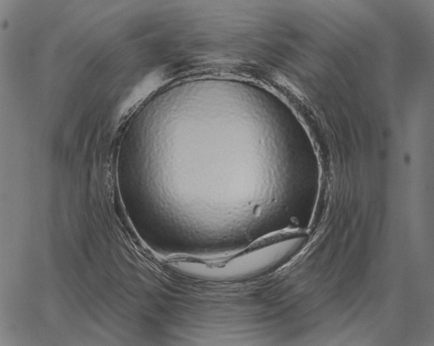 X0000065261354200603031818